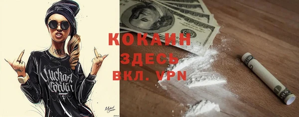 прущие грибы Алексеевка