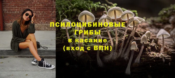 спиды Алексин