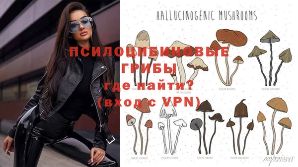 спиды Алексин